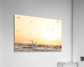 Whale Tail Acrylic Print
