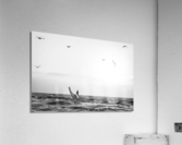 Whale Tail B&W Acrylic Print