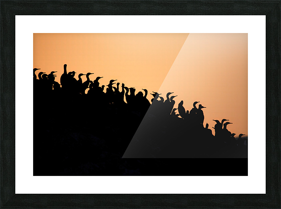 Oceanfront Silhouettes Picture Frame print