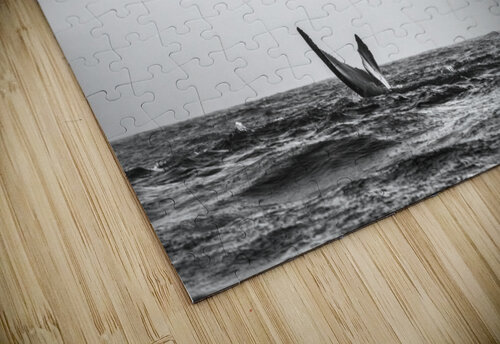 Whale Tail B&W dronesey puzzle