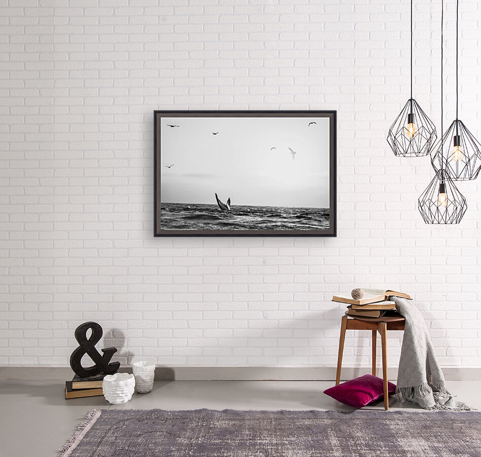 Whale Tail B&W Reproduction