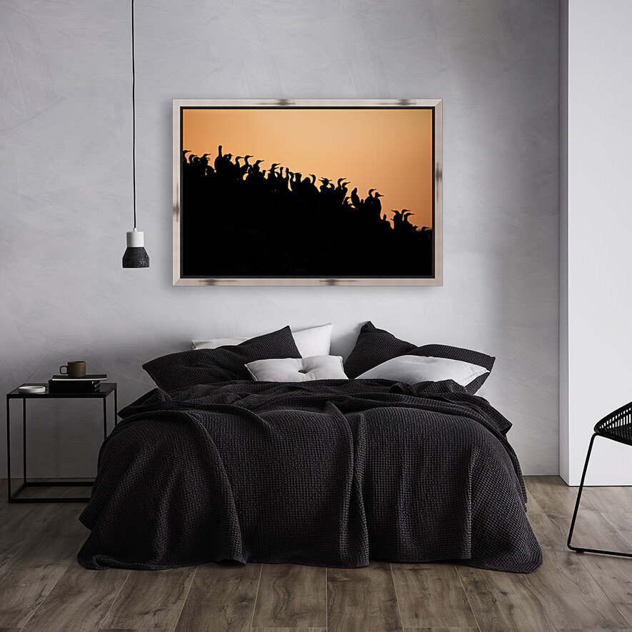 Oceanfront Silhouettes Reproduction