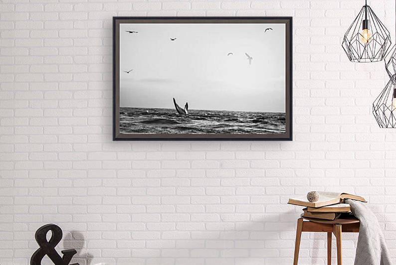 Whale Tail B&W by dronesey