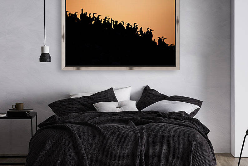 Oceanfront Silhouettes by dronesey