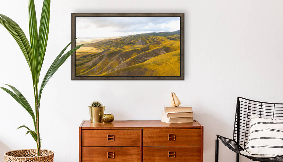 Carrizo Plain Vista by dronesey