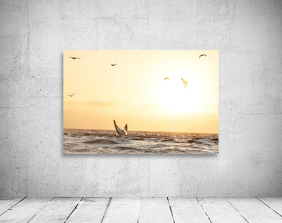 Whale Tail Wall Preview
