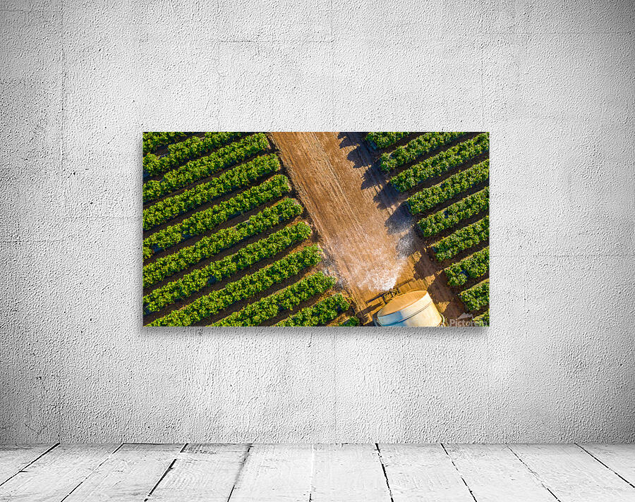 On the Farm  Wall Preview