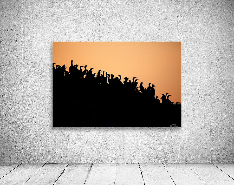 Oceanfront Silhouettes Wall Preview