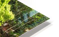 Buderim Waterfall HD Metal print