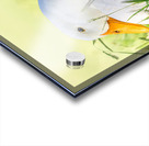 American Perking Duck On The Farm  Acrylic print