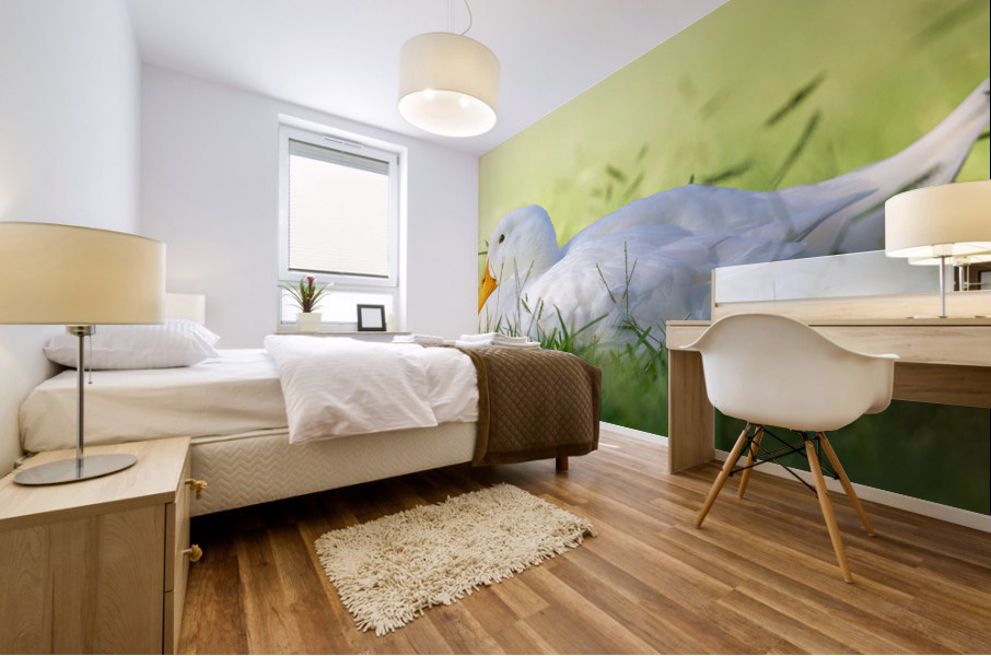 American Perking Duck On The Farm  Mural print