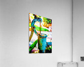 DSC 1979 Edit Acrylic Print