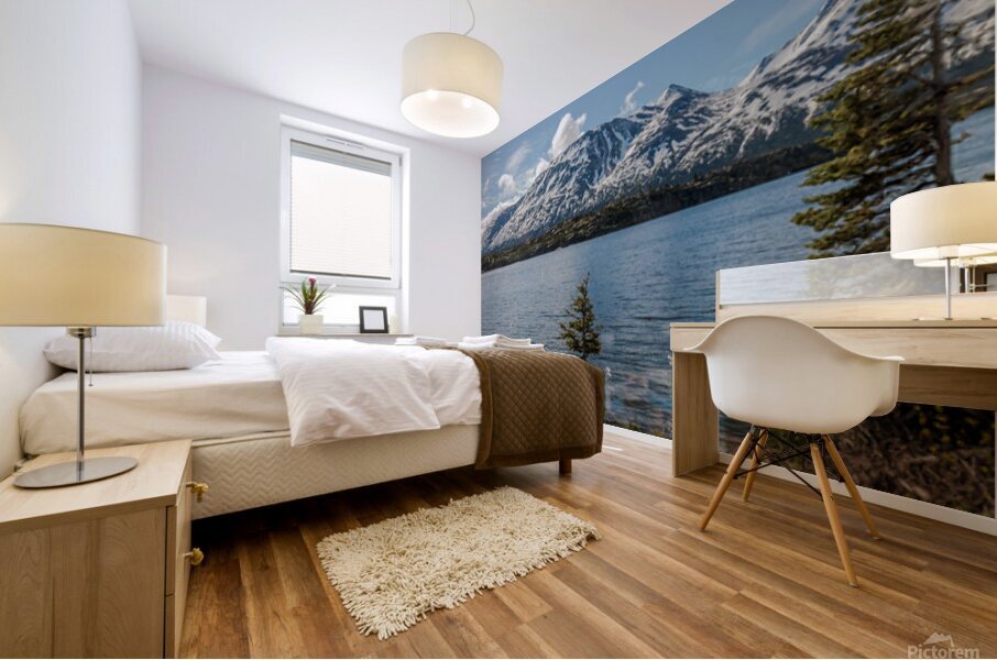 Alaska 6 Mural print
