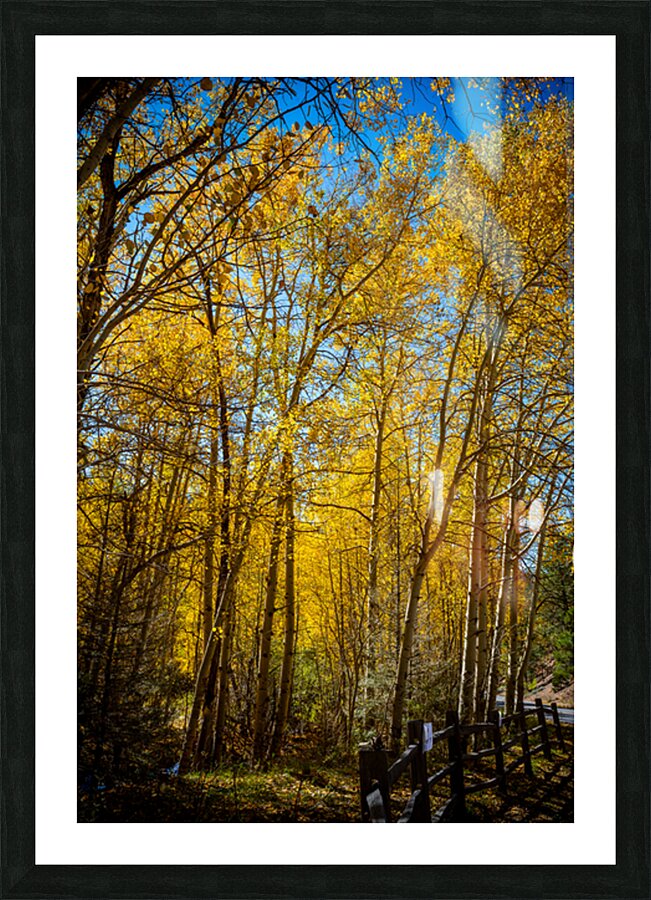Balloons9512 HDR Picture Frame print