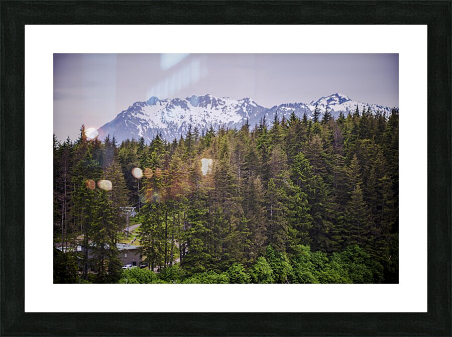 DSC 3531 Picture Frame print
