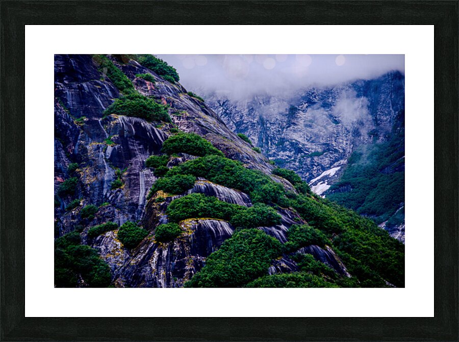 Alaska 4 Picture Frame print