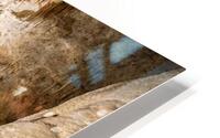 CarlsbadHDR HD Metal print