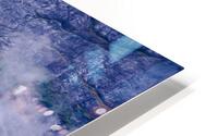 Alaska 6 HD Metal print