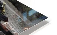 DSC 2022 denoise clear HD Metal print