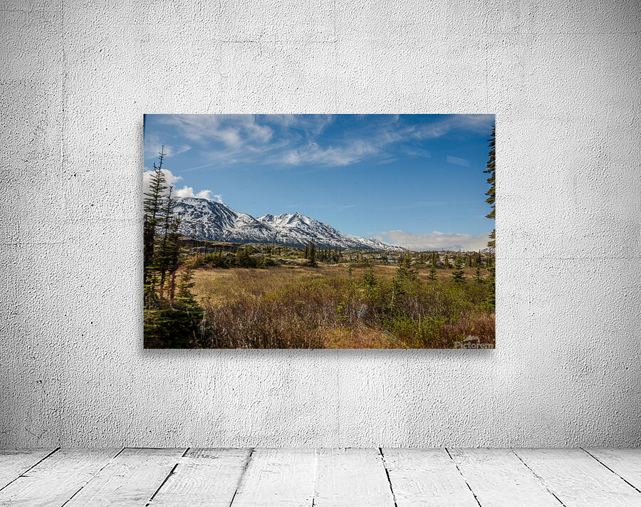 Alaska 12 Wall Preview