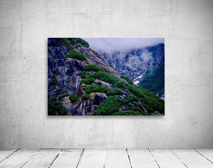 Alaska 4 Wall Preview