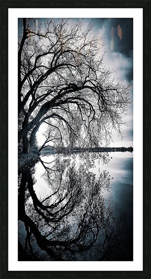 Milo s Tree Picture Frame print