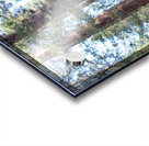 Giant Sequoias Acrylic print