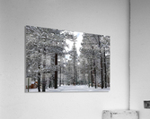  Winter Wonderland Acrylic Print