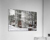 Winter Ranch Acrylic Print