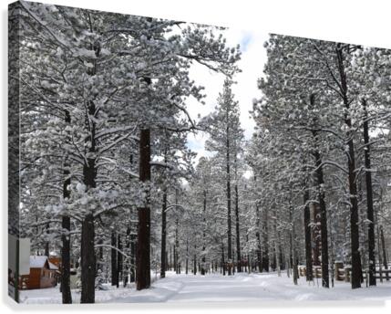  Winter Wonderland Canvas Print