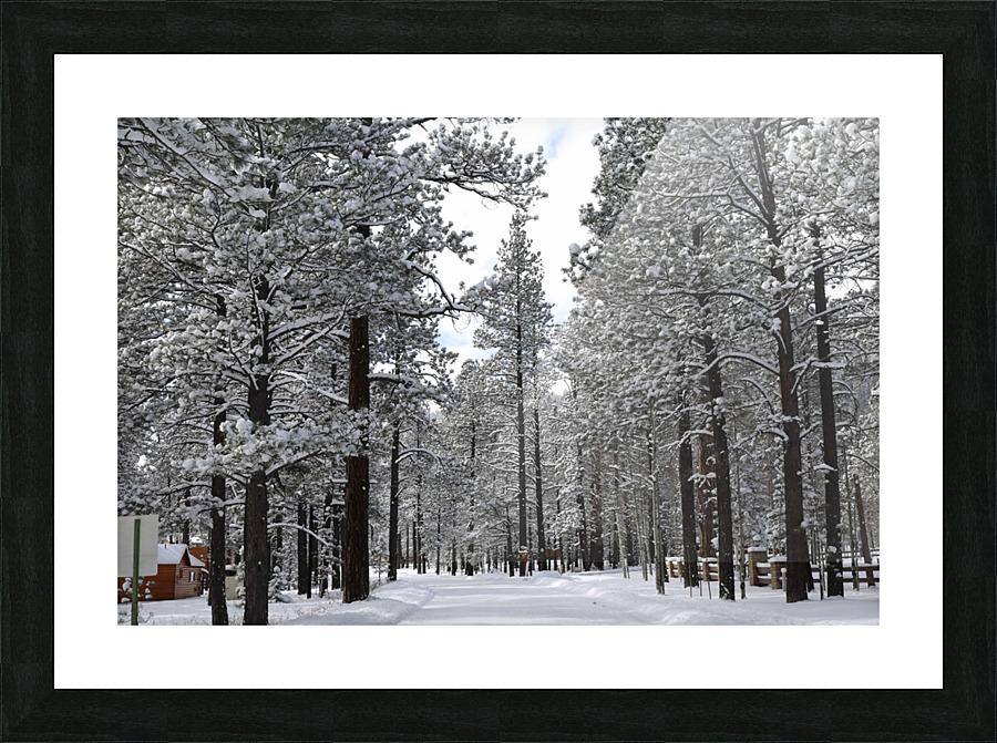  Winter Wonderland Picture Frame print