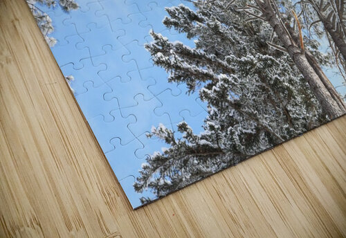 Sunlight through the Trees Jenni OBrien puzzle