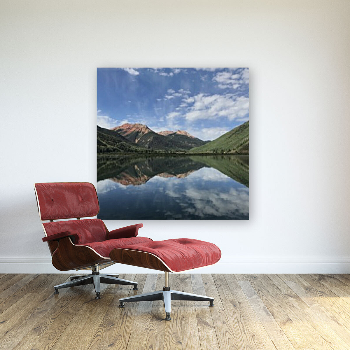 Colorado Reproduction