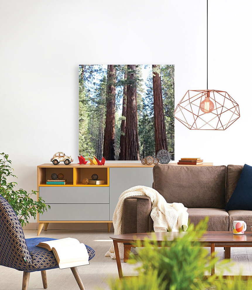 Giant Sequoias Reproduction