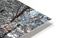  Winter Wonderland HD Metal print