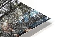 Winter Ranch HD Metal print