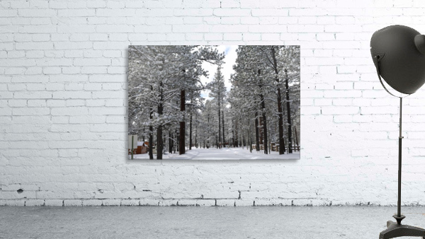 Winter Wonderland Wall Preview