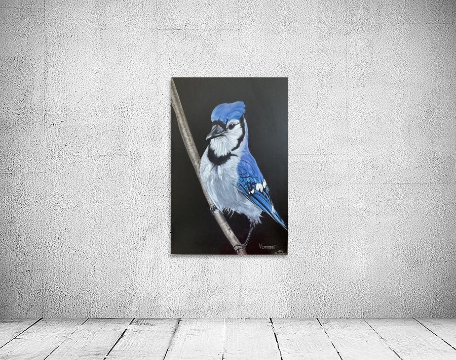 Geai bleu Wall Preview