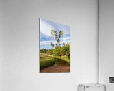 Coqueiral_9064 Acrylic Print