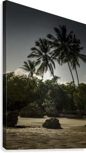 Praia 9586 Canvas Print