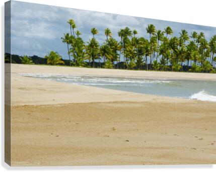 Praia 9789 Canvas Print