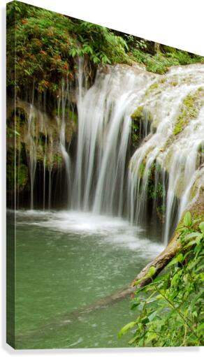 Cachoeira 0190 Canvas Print