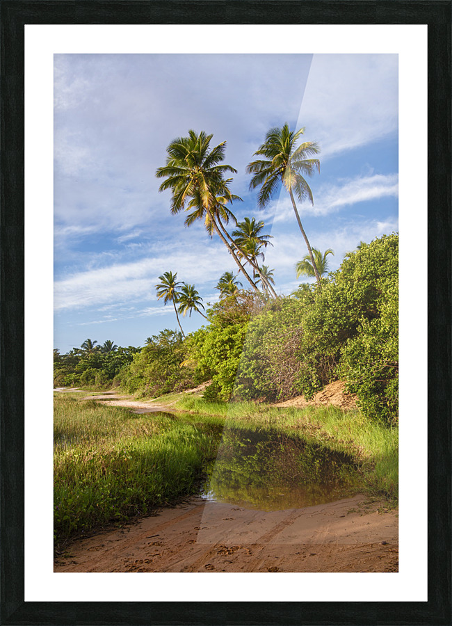 Coqueiral_9064 Picture Frame print