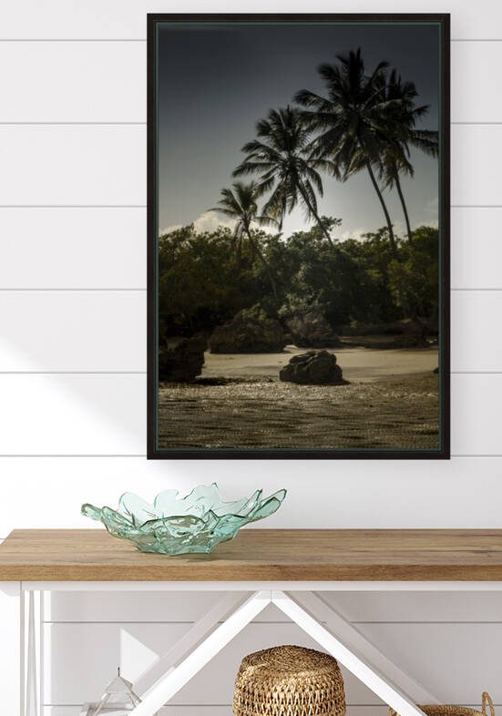 Praia 9586 Reproduction