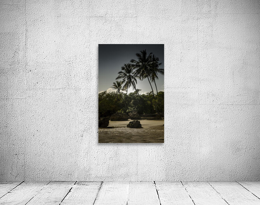 Praia 9586 Wall Preview