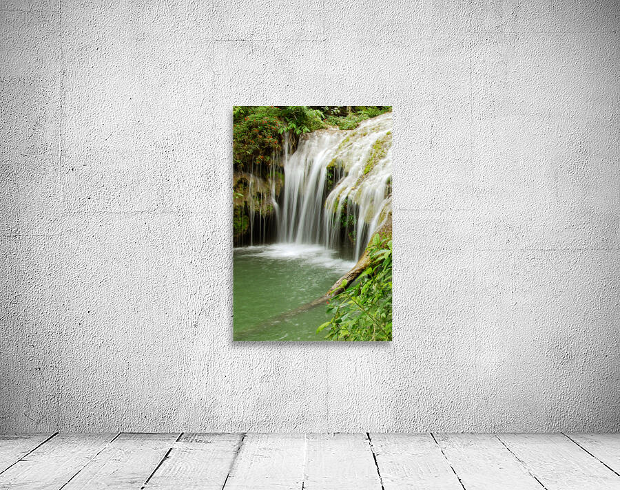 Cachoeira 0190 Wall Preview