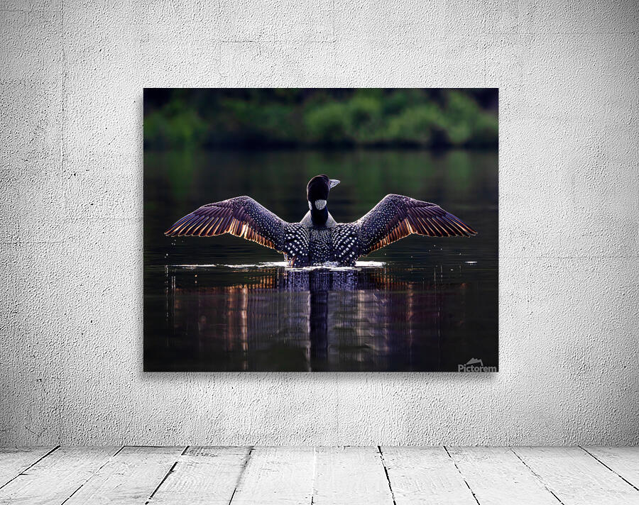 Loon Pose Wall Preview