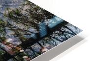 casi manglar HD Metal print