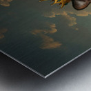 Queen Black and White Cat Metal print