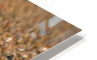 Go With The Flow HD Metal print